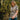 GameGuard Ladies' Original Shirt-GameGuard