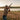 What to Pack for Dove Season