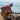 man sitting on a dock playing guitar wearing crimson microtek shirt 