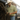 Guac Drover Shirt-GameGuard