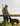 A man in gameguard digital camouflage hunting shirt and hat